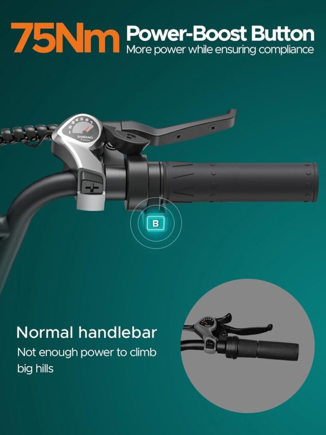 Engwe bicicleta eletrica para adultos fat tire step through 2