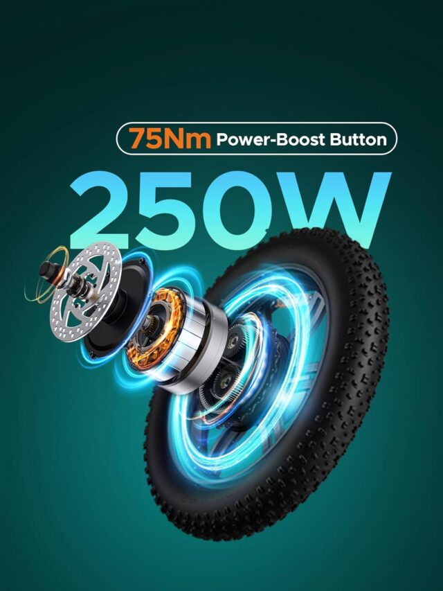 Engwe bicicleta eletrica para adultos fat tire step through 5