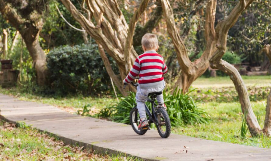 Melhores Bicicletas para Crianças 2025