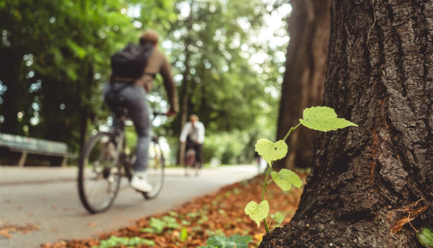 Fundo Ambiental para Bicicletas Elétricas