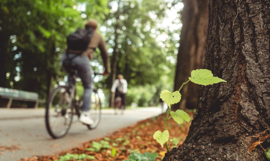 Fundo Ambiental para Bicicletas Elétricas